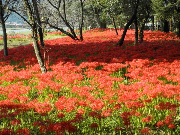 川東公園
