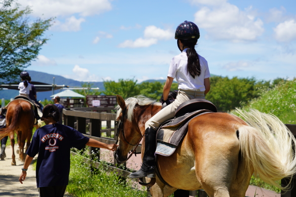 乗馬を学ぶ